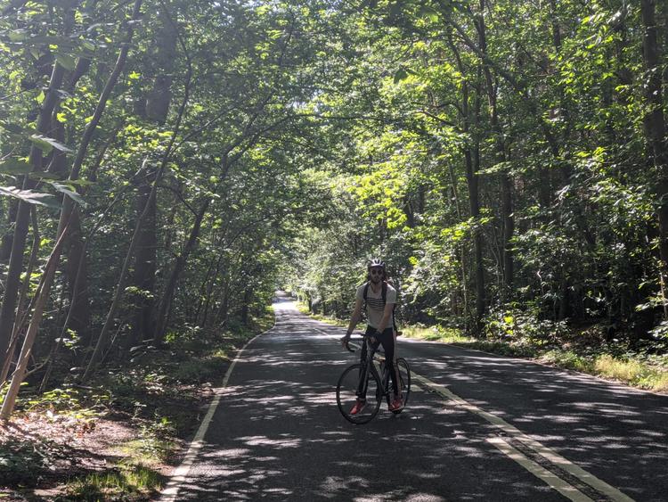 Cycling around Windsor Great Park.